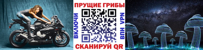 гидра ссылка  Коломна  Псилоцибиновые грибы Psilocybine cubensis 